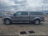 Ford F-150 Fx4/King Ranch/Lariat/Limited/Platinum/Xl/Xlt 1FTFW1ET7EKG30269 снимка
