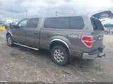 Ford F-150 Fx4/King Ranch/Lariat/Limited/Platinum/Xl/Xlt 1FTFW1ET7EKG30269 photo