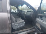 Ford F-150 Fx4/King Ranch/Lariat/Limited/Platinum/Xl/Xlt 1FTFW1ET7EKG30269 photo