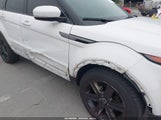 Miniaturka zdjęcia 6