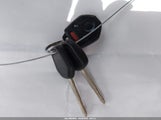 Miniaturka zdjęcia 11