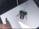 Miniaturka zdjęcia 11