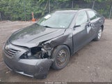 Toyota Camry Le/Se/Xle 4T1BE46K89U799263 photo
