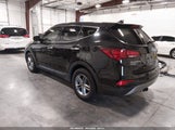 Miniaturka zdjęcia 3