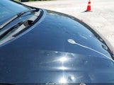 Honda Civic Ex-L 2HGFB2F94FH501050 снимка