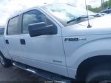 Ford F-150 Fx4/King Ranch/Lariat/Limited/Platinum/Xl/Xlt 1FTFW1ET4DFD35170 fotografie