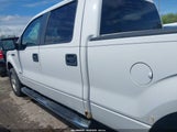 Ford F-150 Fx4/King Ranch/Lariat/Limited/Platinum/Xl/Xlt 1FTFW1ET4DFD35170 fotografie