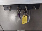 Miniaturka zdjęcia 11