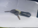 Miniaturka zdjęcia 11