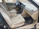 Miniaturka zdjęcia 5