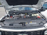 Ford F-450 Platinum 1FT8W4DM0TEC75753 снимка