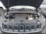 Jeep Compass Trailhawk 4X4 3C4NJDDB3KT744753 fotografie