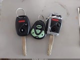 Miniaturka zdjęcia 11