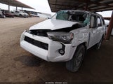 Toyota 4Runner Sr5 Premium JTENU5JR1R6293157 fotografie