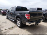 Ford F-150 Fx2 Sport/Harley-Davidson/King Ranch/Lariat/Platinum/Xl/Xlt 1FTFW1CV8AFC23245 снимка