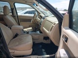 Ford Escape Xlt 1FMCU0DG2AKD16770 снимка