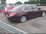 Honda Accord 3.5 Ex-L 5KBCP3F84AB004175 снимка