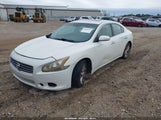 Nissan Maxima 3.5 Sv 1N4AA5AP3BC821613 fotografie