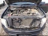Ford F-150 Fx2 Sport/Stx/Xl/Xlt 1FTEX1C83AFA64931 fotografie