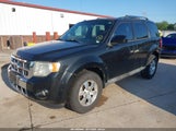 Ford Escape Limited 1FMCU0EG9AKD27764 снимка
