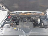 Chevrolet Silverado  Work Truck 1Wt 1GCRCPEH5EZ270835 photo