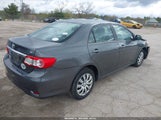 Toyota Corolla Le 2T1BU4EE1DC091025 fotografie