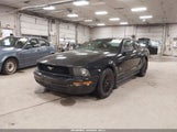Ford Mustang V6 1ZVFT80N765111973 снимка