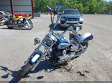 Harley-Davidson Fxdl 1HD1GDV19XY317973 снимка