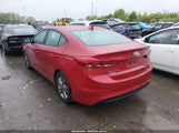 Miniaturka zdjęcia 3