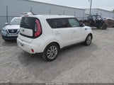 Miniaturka zdjęcia 4