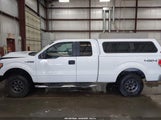 Ford F-150 Fx4/Lariat/Xl/Xlt 1FTPX14V59FA20745 photo