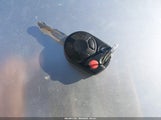 Miniaturka zdjęcia 11