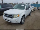 Ford Escape Hybrid 1FMCU49H58KC82603 снимка