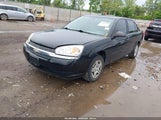 Chevrolet Malibu 1G1ZS52F95F110266 снимка