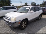 Hyundai Santa Fe Gls KM8SC13D66U074878 снимка