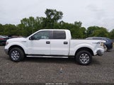 Ford F-150 Fx4/King Ranch/Lariat/Limited/Platinum/Xl/Xlt 1FTFW1ET9EKG41578 fotografie