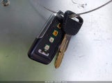 Miniaturka zdjęcia 11