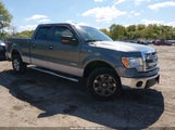 Ford F-150 Xlt 1FTFW1ETXDFC45991 снимка