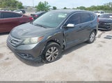 Honda Cr-V Ex 2HKRM4H53DH610485 снимка