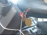 Miniaturka zdjęcia 11