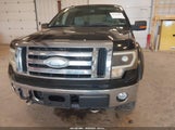 Ford F-150 Fx4/Lariat/Xl/Xlt 1FTPX14V59FB29562 photo