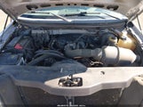 Ford F-150 Stx/Xl/Xlt 1FTRF12296NA36811 fotografie