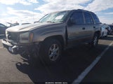 Chevrolet Trailblazer Ls 1GNDS13S532362209 снимка