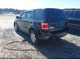 Ford Escape Xlt 1FMCU0D76BKB66437 fotografie