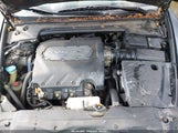 Acura Tl 19UUA66226A075782 снимка