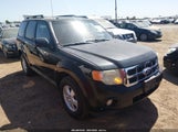 Ford Escape Xlt 1FMCU0D77BKB66804 снимка