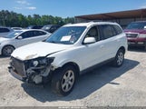 Hyundai Santa Fe Se 5NMSH13E19H318883 fotografie