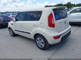 Miniaturka zdjęcia 3