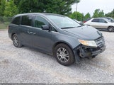 Honda Odyssey Ex-L 5FNRL5H6XDB003385 fotografie