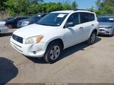 Toyota Rav4 JTMZD33V965015984 снимка